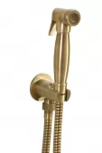 SAPHO - Bidetová sprška retro s hadicí a držákem sprchy s vyústěním, bronz 9106