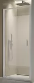 Jednokřídlé dveře 100 cm, matný elox/sklo (TLSP 100 01 07)