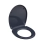 WC prkénko Duroplast Soft Close Dark Grey 82304