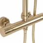 REA - Sprchový set s baterií 150mm s termostatem PAROT kartáčovaná zlatá REA-P2323
