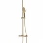 REA - Sprchový set s baterií 150mm s termostatem PAROT kartáčovaná zlatá REA-P2323