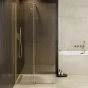 Walk-in sprchový kout VAYO GOLD (BCVAYO90GC)