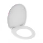WC prkénko Duroplast Soft Close Neon Paint 82191